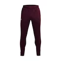 Pantaloni de trening pentru bărbați Under Armour  Terry Pant Red XL