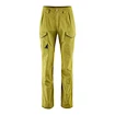 Pantaloni pentru bărbați Klättermusen  Grimner Pant Meadow Green/Meadow Green XL