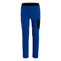 Pantaloni pentru bărbați Salewa  Pedroc Light DST Electric 2X
