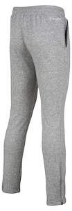 Pantaloni pentru bărbați Tecnifibre  Club Pants Silver