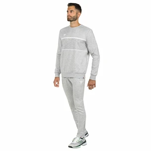 Pantaloni pentru bărbați Tecnifibre  Club Pants Silver
