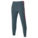 Pantaloni pentru femei Mizuno  Charge Printed Pant Turbulence