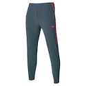 Pantaloni pentru femei Mizuno  Charge Printed Pant Turbulence  XL