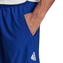 Pantaloni scurți pentru bărbați adidas  Designed 4 Training Shorts Royal Blue