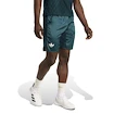 Pantaloni scurți pentru bărbați adidas  Tennis Pro Climacool Ergo Shorts Aurora Ivy