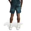 Pantaloni scurți pentru bărbați adidas  Tennis Pro Climacool Ergo Shorts Aurora Ivy