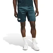 Pantaloni scurți pentru bărbați adidas  Tennis Pro Climacool Ergo Shorts Aurora Ivy