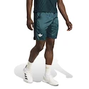 Pantaloni scurți pentru bărbați adidas  Tennis Pro Climacool Ergo Shorts Aurora Ivy