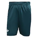 Pantaloni scurți pentru bărbați adidas  Tennis Pro Climacool Ergo Shorts Aurora Ivy