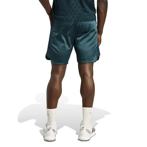 Pantaloni scurți pentru bărbați adidas  Tennis Pro Climacool Ergo Shorts Aurora Ivy