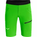 Pantaloni scurți pentru bărbați Salewa  Agner Light DST Pale Frog