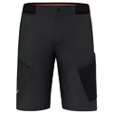 Pantaloni scurți pentru bărbați Salewa  Pedroc 3 DST M Cargo Shorts