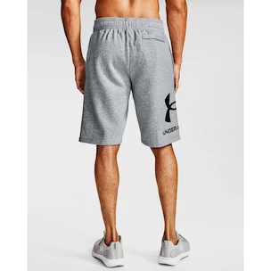 Pantaloni scurți pentru bărbați Under Armour  Rival FLC Big Logo Shorts gray S