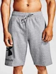 Pantaloni scurți pentru bărbați Under Armour  Rival FLC Big Logo Shorts gray S