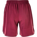 Pantaloni scurți pentru bărbați Virtus  Virtus Coimba purple