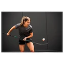 Pantaloni scurți pentru femei Bauer  WMNS Team Train Short Black