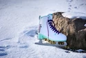Patine de gheață pentru femei Powerslide  Chaya Classic White