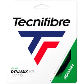 Racordaj de squash Tecnifibre Dynamix VP Black