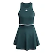 Rochii pentru femei adidas  Tennis Climacool Y-Dress Aurora Ivy