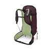 Rucsac OSPREY FIRN 28 elderberry purple/pepprmnt grn