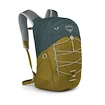 Rucsac OSPREY Quasar green tunnel/brindle brown