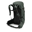 Rucsac OSPREY Sportlite 30 pine leaf green