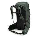Rucsac OSPREY Sportlite 30 pine leaf green