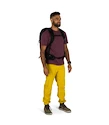 Rucsac pentru bărbați OSPREY TALON 22 black/coal grey