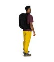 Rucsac pentru bărbați OSPREY TALON 22 black/coal grey