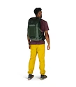 Rucsac pentru bărbați OSPREY TALON 22 green canopy/pine leaf
