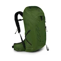 Rucsac pentru bărbați OSPREY TALON 26 green belt/black