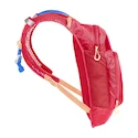 Rucsac pentru ciclism Camelbak  Mini MULE Pink Flowers