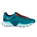 Salewa Dropline GTX Ocean/Canal Blue