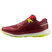 Salomon Biking Red/Lunar Rock