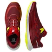 Salomon Biking Red/Lunar Rock