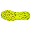 Salomon Biking Red/Lunar Rock