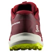 Salomon Biking Red/Lunar Rock