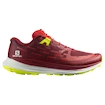 Salomon Biking Red/Lunar Rock