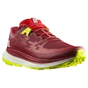 Salomon Biking Red/Lunar Rock