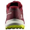 Salomon Biking Red/Lunar Rock