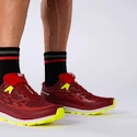 Salomon Biking Red/Lunar Rock