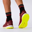 Salomon Biking Red/Lunar Rock