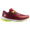 Salomon Biking Red/Lunar Rock