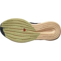 Salomon Ebony/Almond Cream