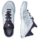 Sandale pentru femei Salomon Amphib Bold 2 Arctic Ice/Nightshade/Serenity