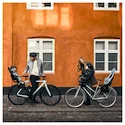 Scaun pentru bicicletă Thule Yepp 2 Mini- Front Mount- Fennel Tan