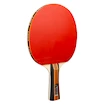 Set de tenis de masă Joola  Family Advanced
