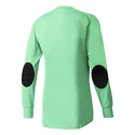 Tricou de portar adidas  Assita 17 GK Junior
