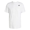 Tricou pentru bărbați adidas  Club Tennis Climacool Graphic T-Shirt White