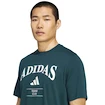 Tricou pentru bărbați adidas  Heritage Graphic Tee Aurora Ivy